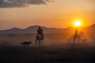 Fototapeta na wymiar Wild horses run in foggy at sunset. Between Cappadocia and Kayseri, Turkey