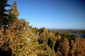 Fototapeta premium tree in the mountains