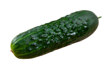 Ripe juicy cucumber. Isolated over white background