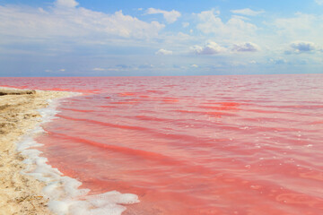 View of the pink salty Syvash lake in Kherson region, Ukraine