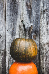 pumpkin on a wooden background