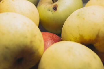 Naklejka na ściany i meble close-up of fresh green apples