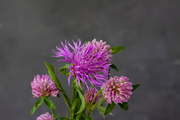 A bouquet of purple flowers in a yellow vase on a dark background.