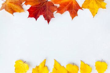 Naklejka na ściany i meble Maple and birch leaves on a white background. Autumn leaves. Isolate.