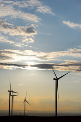 Obraz premium Renewable wind energy concept