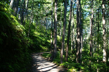 熊野古道・中辺路