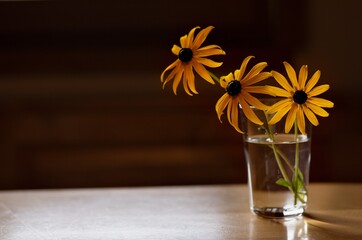 girasol flowers in a glass vase on a table