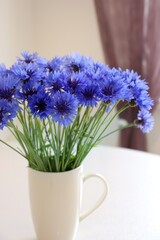 Cornflowers in a vase.