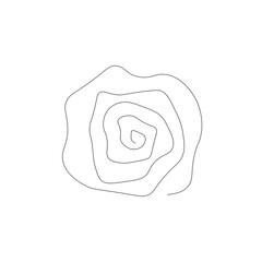 Rose flowers drawing background. Vector illustration