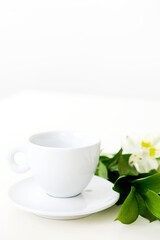 Obraz na płótnie Canvas teacup and flower