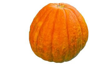pumpkin photo, isolate, the harvest in the fall, Halloween