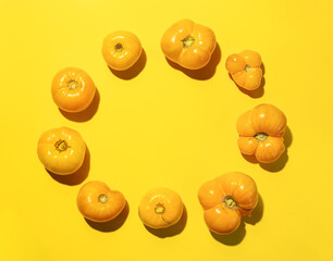 Yellow different sizes farm tomatoes laid out in circle on bright yellow background with copy space for text in center. Top view, flat lay. Healthy natural food. Concept of vegetable harvest.