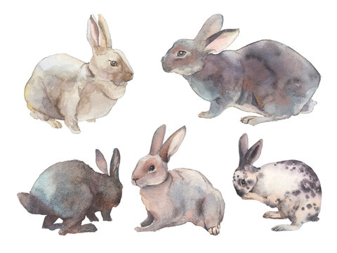 Set of cute Rabbits in artistic style. Watercolor pet animals print. Isolated bunny silhouettes