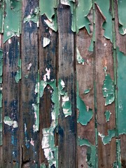 Old wood with green color