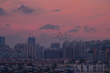 Fototapeta premium Charming urban night view at dusk