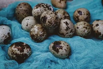 Obraz premium quail eggs on blue gauze