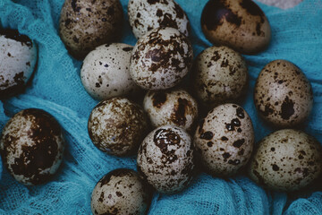 Obraz premium quail eggs on blue gauze