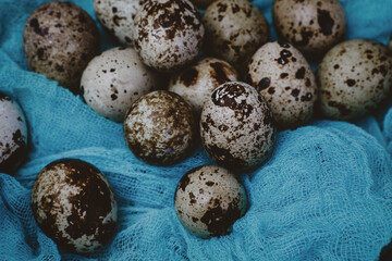 Obraz premium quail eggs on blue gauze