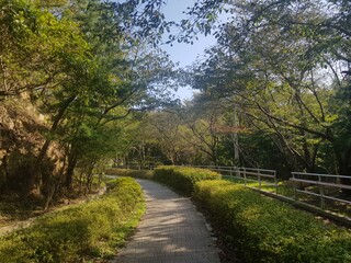 Naklejka premium 한국 울산 동구 동해안로 산책길 Donghaean-ro promenade in Dong-gu, Ulsan, Korea