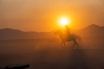 Obraz na płótnie Canvas Wild horses run in foggy at sunset. Between Cappadocia and Kayseri, Turkey