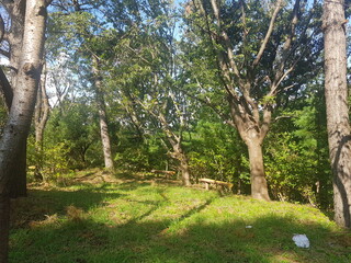 한국 울산 동구 동해안로 풍경
Landscape of Donghaean-ro, Dong-gu, Ulsan, Korea