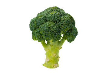Fresh tasty broccoli isolated on white background.