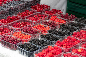 Red and black fresh healthy berries, cranberries, lingonberries, raspberries, blackberries in a...