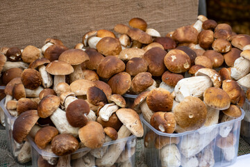 Porcini mushrooms for sale in small baskets in a street food market 