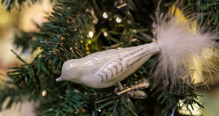 White little bird on the tree, Christmas.