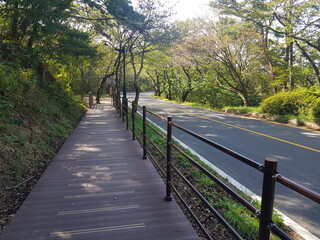 Fototapeta premium 한국 울산 동구 동해안로 산책길 Donghaean-ro promenade in Dong-gu, Ulsan, Korea