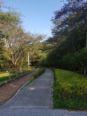 한국 울산 동구 동해안로 산책길
Donghaean-ro promenade in Dong-gu, Ulsan, Korea