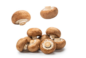 Tasty mushroom isolated on white background.