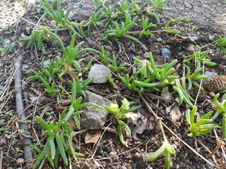 한국 울산 동구 동해안로
Donghaean-ro, Dong-gu, Ulsan, Korea