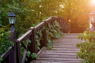 beautiful wooden textured bridge with wild grape leaves
