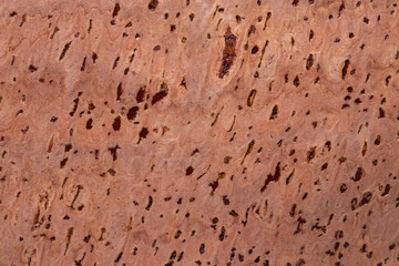 Cork background texture. Closeup of detail from natural oak cork surface used for trendy cork fashion. Beautiful cork backdrop.