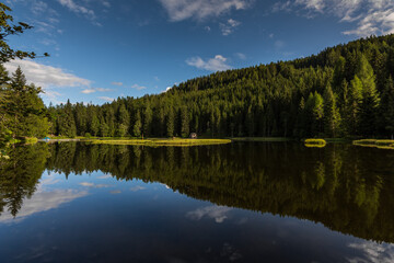 clear mountain lake with reflection from the forest