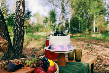 Outdoor Gender Reveal Party Decorations. girl or boy. beautiful photo zone with cake and fruits.
autumn decor with purple and green color. Two glasses of the red wine and tasty food and accessories 