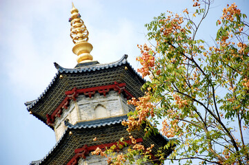 Tower of a Chinese temple / Pagoda with a golden spire, tree with leaves and flowers in the foreground, Splendid China Folk Village, Shenzhen, China