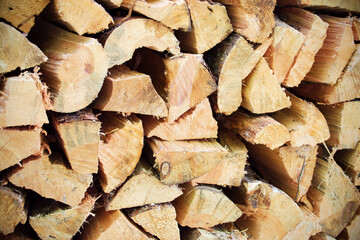 Fototapeta premium Stacked logs for the fireplace.