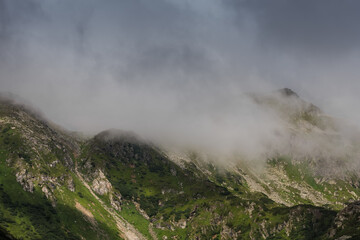 Fototapeta na wymiar dense white fog in the mountains while hiking