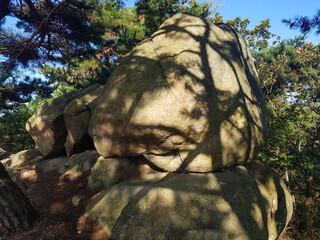 한국 울산 동구 동해안로 산책길
Donghaean-ro promenade in Dong-gu, Ulsan, Korea