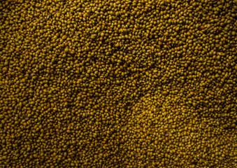 Indian natural organic masala seeds