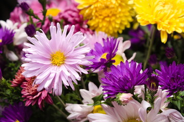 a close-up shot of a part of an autumn bouquet, a view among flowers of different colors
