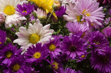 a close-up shot of a part of an autumn bouquet, a view among flowers of different colors