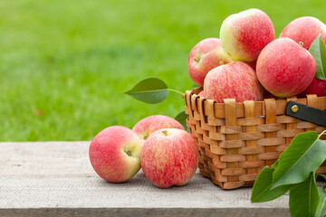 Ripe garden apple fruits in basket