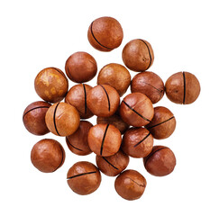 heap of macadam nuts with clipping path