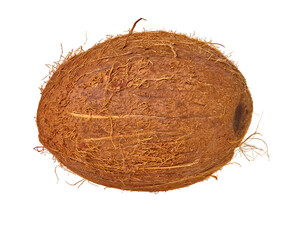 coconut on a white isolated background