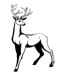 Beautiful noble deer. Vector drawing