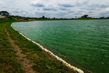 Fototapeta na wymiar beautiful landscape, dirty green lake water with white soap foam