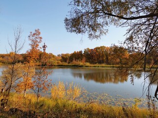 Fototapeta premium Золотая осень в деревне